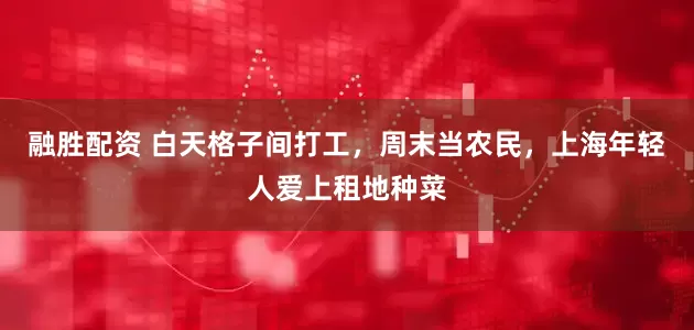 融胜配资 白天格子间打工，周末当农民，上海年轻人爱上租地种菜