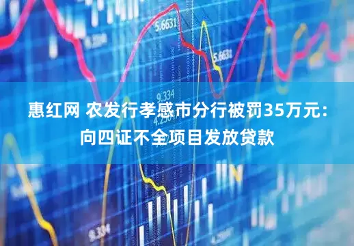 惠红网 农发行孝感市分行被罚35万元：向四证不全项目发放贷款