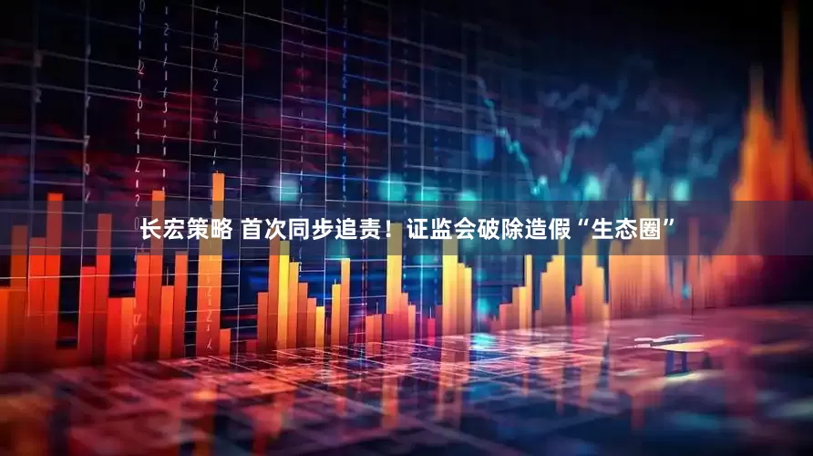 长宏策略 首次同步追责！证监会破除造假“生态圈”