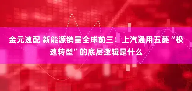 金元速配 新能源销量全球前三！上汽通用五菱“极速转型”的底层逻辑是什么