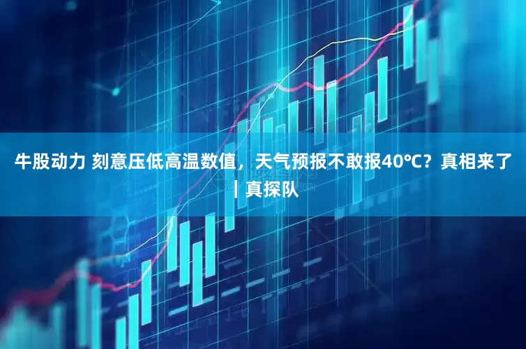 牛股动力 刻意压低高温数值，天气预报不敢报40℃？真相来了｜真探队