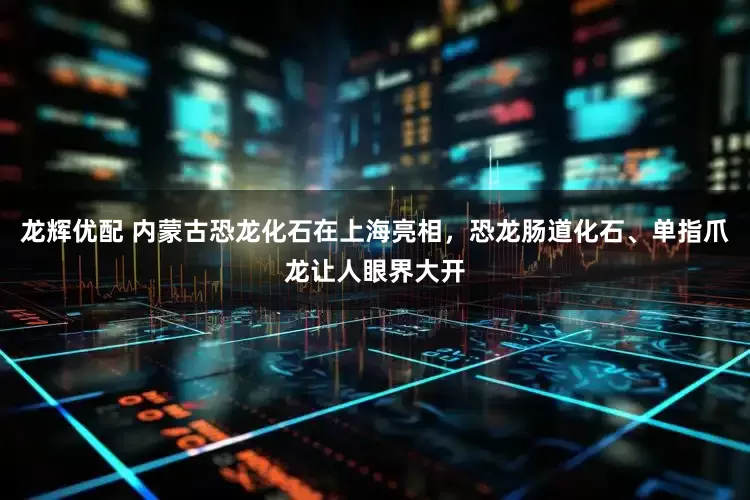 龙辉优配 内蒙古恐龙化石在上海亮相，恐龙肠道化石、单指爪龙让人眼界大开