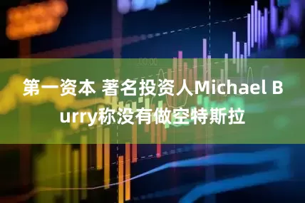 第一资本 著名投资人Michael Burry称没有做空特斯拉